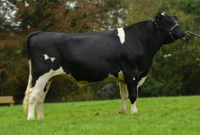 FR4788 Scorduff Neart