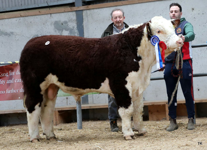 BALLEEN SOME MACHINE HH Picture 0