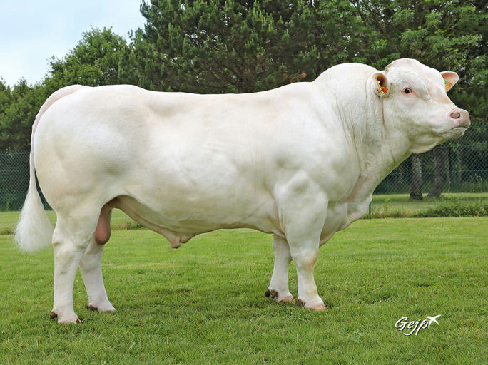 Lebonvo (CH5872)