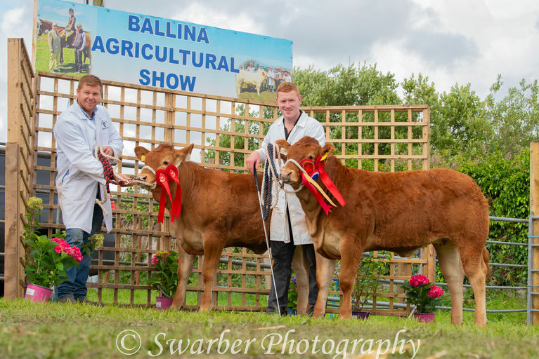 EWDENVALE IVOR Picture 5