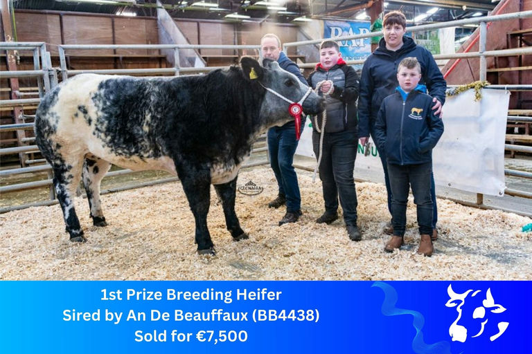 AN DE BEAUFFAUX Picture 3