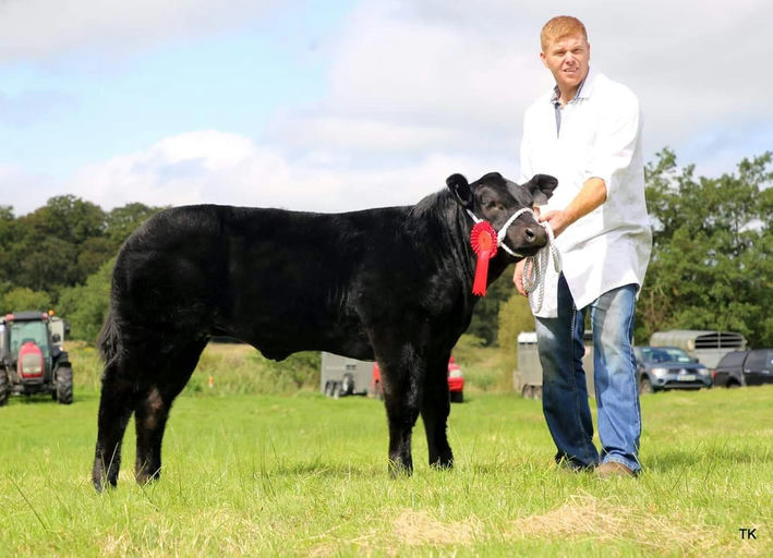 WILODGE JOSKINS Picture 3