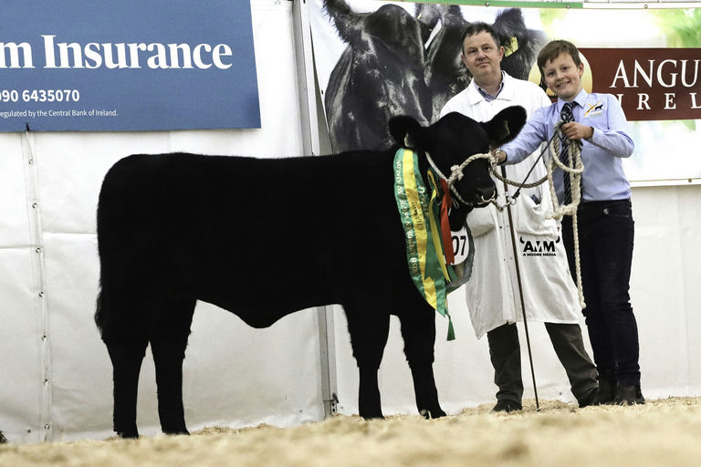 LISDUFF RED PEPPER R368 Picture 4