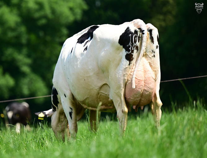 GLENABOY RONALD Picture 1