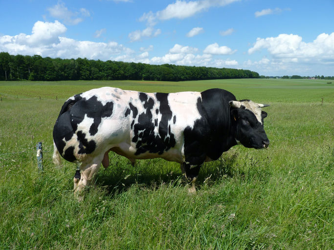 JAMES VD JORCHRISHOEVE Picture 0