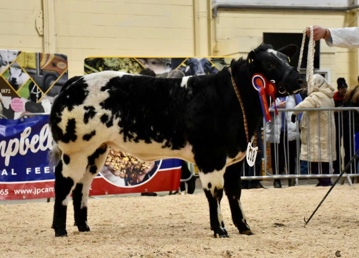 BOHERARD OVERDOSE ET - Sire Details