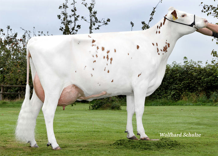 MB AMAX RDC Picture 0