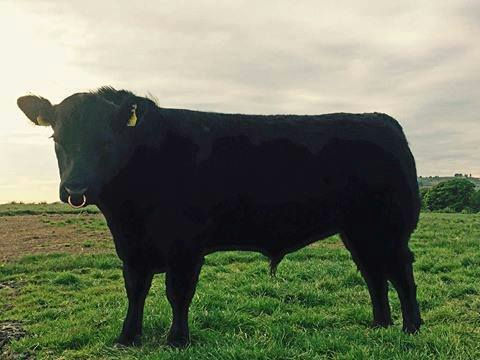 Rassom Sankt-Peterburg erotik rasm Koplab erkaklar uning ichiga kiradi (porno video)