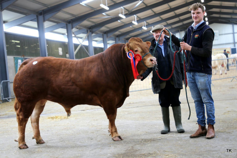 EWDENVALE IVOR Picture 4