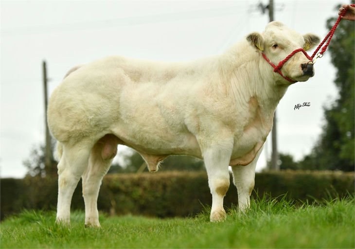 RATHLYON OLAF ET Picture 0