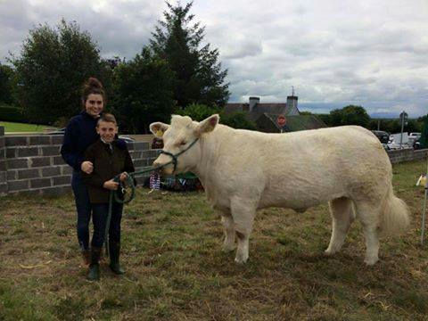 Inverlochy Ferdie daughter