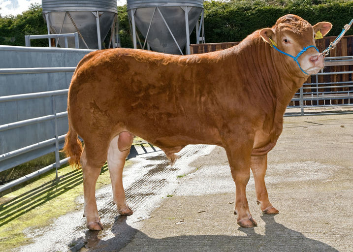 CASTLEVIEW CASINO (ET) Picture 0