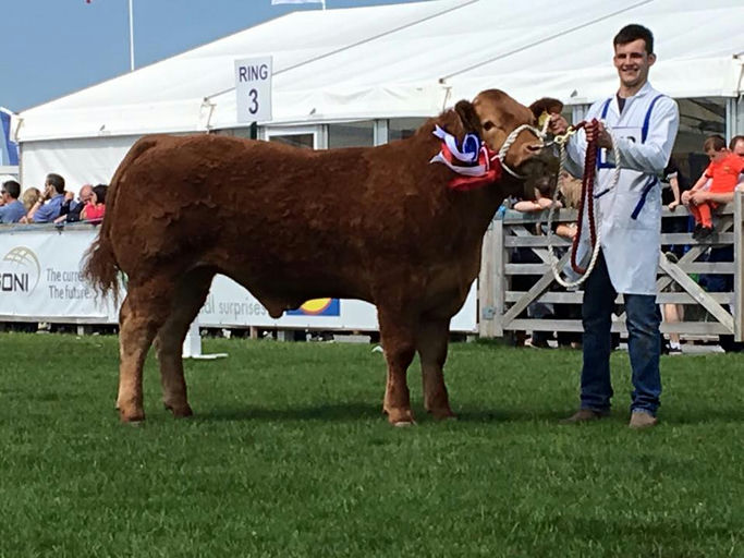 BROOKLANDS F0959 Picture 2