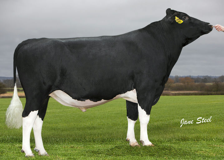 SAINTBRIGID FRANK JOSEPH Picture 1