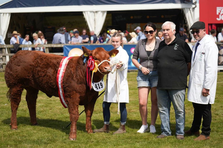 Reserve Overall Commercial Champion at Balmoral Show 2025