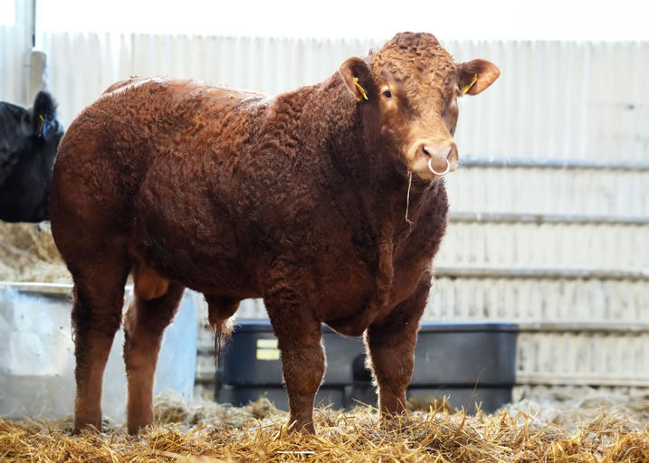 SLIABH FELIM STERLING Picture 0