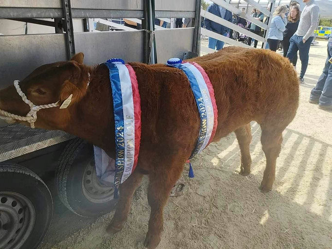 CLADDAGH MCCABE (ET) Picture 10