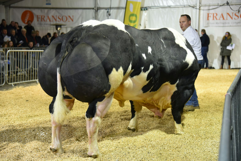 Notaire Du Tordoir (BB9745)