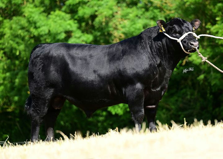 Rathfort U0129 (AA9625)
