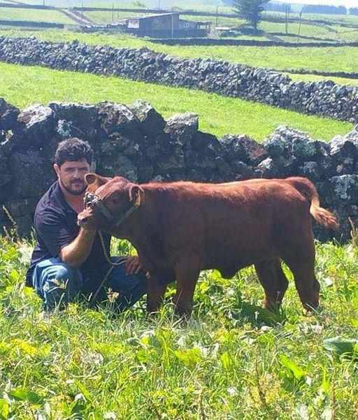 LISDUFF RED PEPPER R368 Picture 2