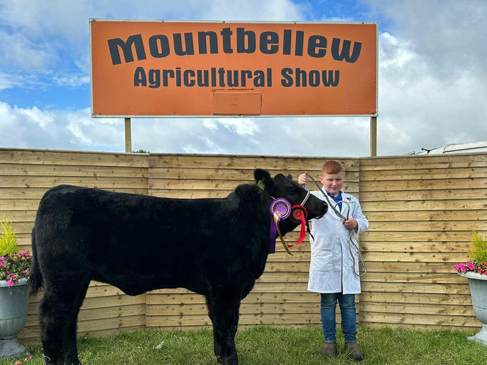Bunlahy John G daughter - Champion at Mountbellew Show 2023