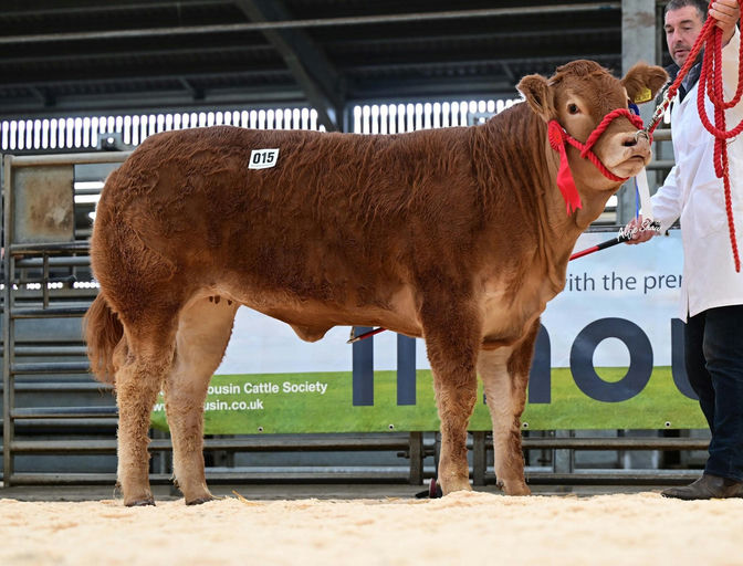 CLADDAGH MCCABE (ET) Picture 5