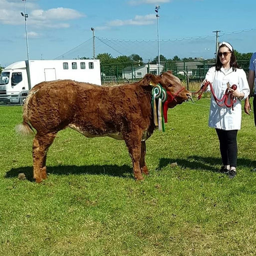 WILODGE JOSKINS Picture 2