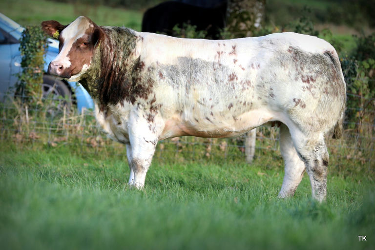 AN DE BEAUFFAUX Picture 4
