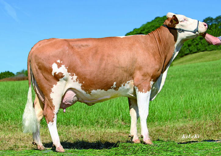 SI7893 Vollgenial daughter