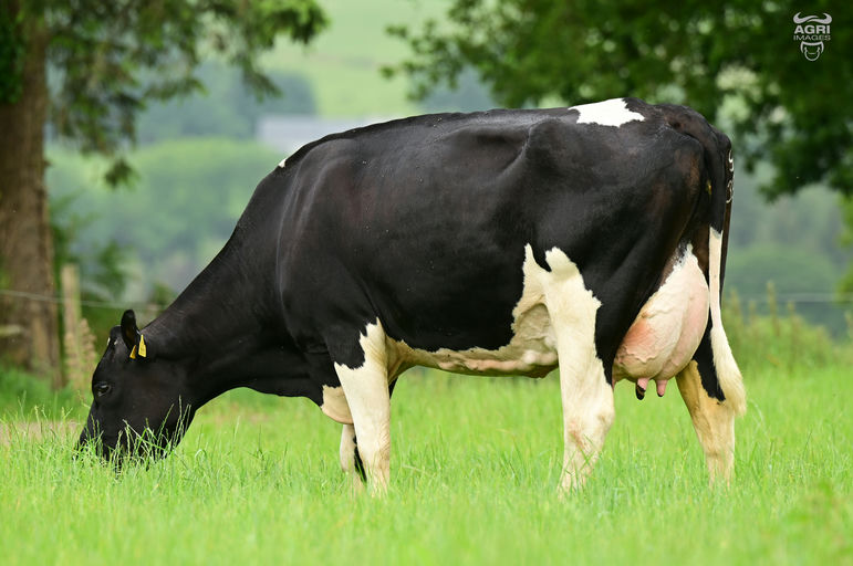 FR4785 Glenaboy Ronald daughter