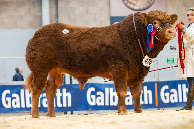 SLIABH FELIM STERLING Picture 2