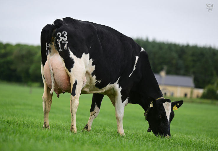 SAINTBRIGID FRANK JOSEPH Picture 0