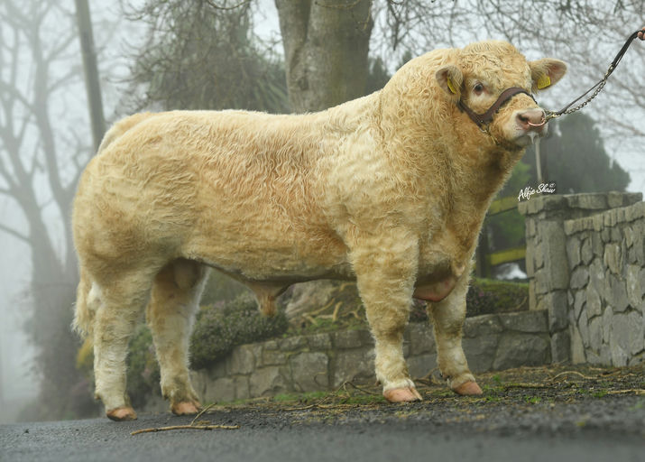 Clenagh Superior ET (CH8968)